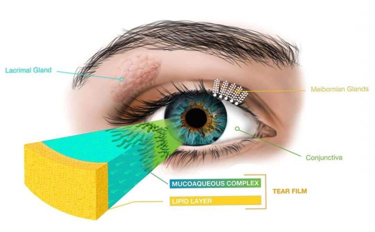 Dry Eye Disease Greenville | Dry Eye Treatment Clemson, SC